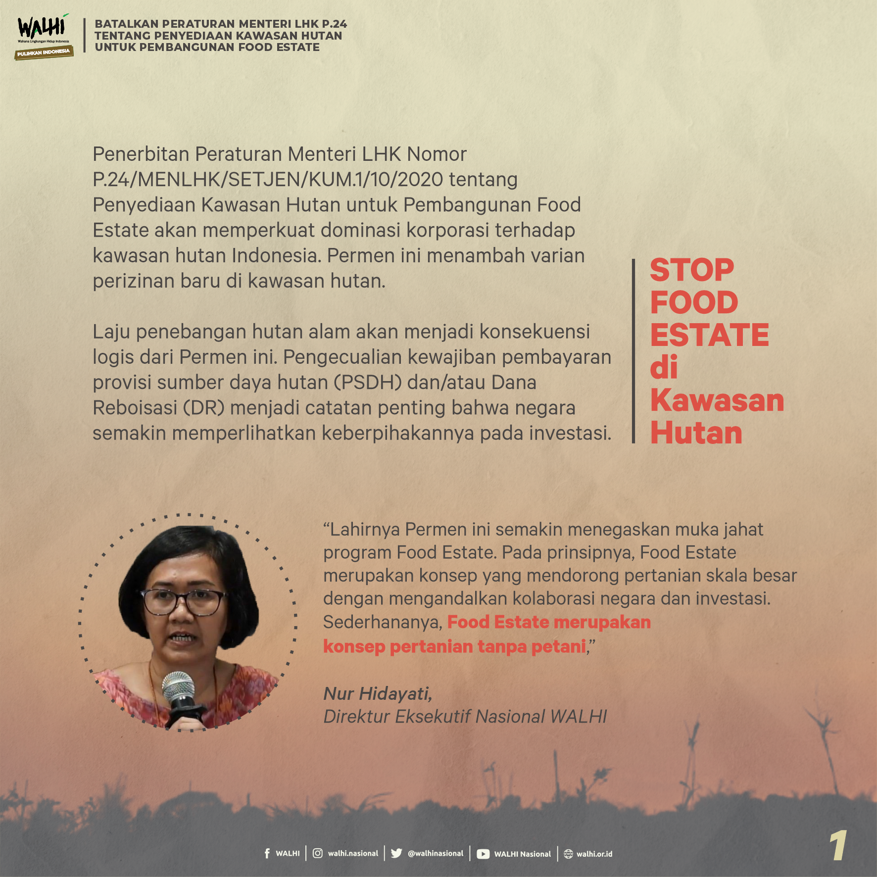 Stop Food Estate Di Kawasan Hutan; Batalkan Peraturan Menteri LHK P.24 ...